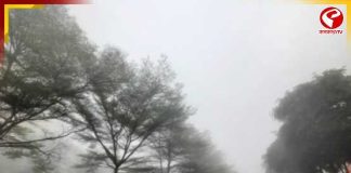 মাঘের শেষে শীতের কামড়! পশ্চিমের জেলাগুলিতে পারদ নামতে পারে ১০ ডিগ্রিতে