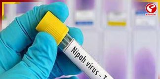 নিপা ভাইরাসে আক্রান্ত তরুণী নার্সের মৃত্যু