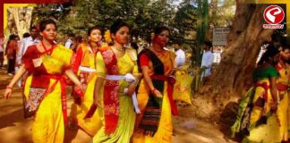 দোলে সোনাঝুরিতে ‘নো কালার’! ৪–৫ মার্চ বন্ধ খোয়াই হাট