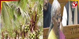 কেন্দ্রীয় বাজেটে নারকেল চাষের উন্নতির জন্য প্রকল্পের ঘোষণা