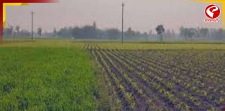 চলতি মাস থেকেই বাড়বে তাপমাত্রা, বৃষ্টি কম হবে, মাথায় হাত কৃষকদের