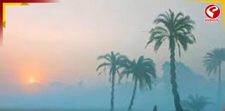 বিদায় বেলায় পারদ পতন, কমল তাপমাত্রা, ফের ফিরবে জাঁকিয়ে শীত?