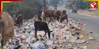 সাফাই কর্মীদের ধর্মঘটে আবর্জনার স্তূপ, দমবন্ধ করা পরিস্থিতি আসানসোলে