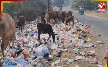 সাফাই কর্মীদের ধর্মঘটে আবর্জনার স্তূপ, দমবন্ধ করা পরিস্থিতি আসানসোলে