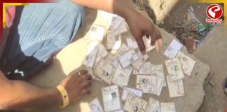 চন্দ্রকোনায় ড্রেন থেকে উদ্ধার হল একাধিক ভোটার কার্ড, চাঞ্চল্য