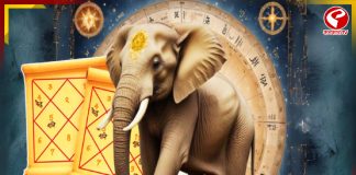 ফেব্রুয়ারি মাসের শেষে গজকেশরী যোগে বিরাট উন্নতি এই রাশির জাতক-জাতিকাদের