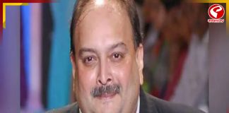 আরও বিপাকে মেহুল চোকসি! এবার ছেলের বিরুদ্ধে আইনি পথে ইডি