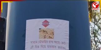 আচমকা ধেয়ে এল মৌমাছির ঝাঁক, আক্রান্ত চিকিৎসক, স্বাস্থ্যকর্মী সহ রোগীর পরিজন