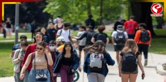 দায়ী ভিসানীতি! মার্কিন বিশ্ববিদ্যালয়গুলিতে ভারতীয় শিক্ষার্থীদের ভর্তি হার কমছে