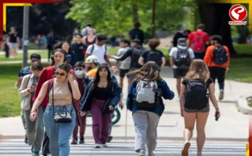 দায়ী ভিসানীতি! মার্কিন বিশ্ববিদ্যালয়গুলিতে ভারতীয় শিক্ষার্থীদের ভর্তি হার কমছে