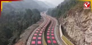 বাঘ-চিতার সুরক্ষায় ‘লাল ব্লক’ হাইওয়ে! ভারতের প্রথম ওয়াইল্ডলাইফ-সেফ রোডে গতি কমবে কীভাবে?