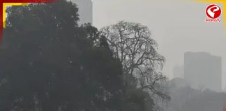 রাজ্যজুড়ে বজায় শীতের আমেজ! দাপট কুয়াশারও