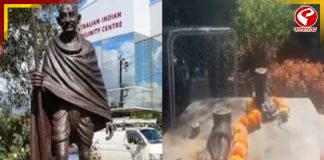 অস্ট্রেলিয়ায় মহাত্মা গান্ধীর মূর্তি চুরি! নিন্দা ভারতের
