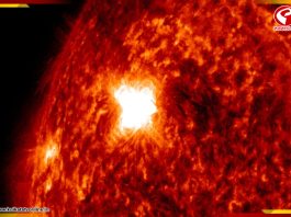 সূর্যের ‘ভয়ঙ্কর’ রুপ! ৫ ফেব্রুয়ারি বড় কিছু ঘটতে চলেছে পৃথিবীতে?