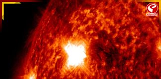 সূর্যের ‘ভয়ঙ্কর’ রুপ! ৫ ফেব্রুয়ারি বড় কিছু ঘটতে চলেছে পৃথিবীতে?