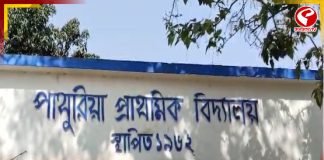 SIR চাপ, বাগদায় আত্মহত্যার চেষ্টা BLO-র