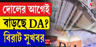 বাড়বে DA! দোলের আগেই সুখবর পেতে পারেন সরকারি কর্মীরা