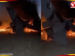 পাকিস্তানের এফ-১৬ বিমানকে ধবংস করল আফগানিস্তান! ভিডিয়ো ভাইরাল