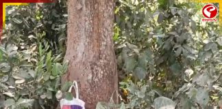 নির্বাচনের আগে চাঞ্চল্য মুর্শিদাবাদে! কী হল?