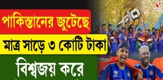 পাকিস্তানের জুটেছে মাত্র সাড়ে ৩ কোটি! বিশ্বজয় করে ভারত কত পেল? দেখে নিন