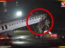 “থামুন, থামুন…,” সতর্কতা উপেক্ষা করেই দুর্ঘটনার কবলে বিমান! ভিডিও দেখলে শিউরে উঠবেন