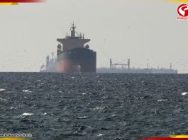 হরমুজ পেরিয়ে ভারতের পথে আরও ২ জাহাজ! দিল্লিকে কত ফি গুনতে হল?