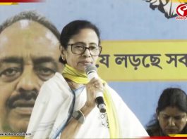 উত্তরের প্রচারে বিস্ফোরক মমতা! ডাবগ্রাম-ফুলবাড়ির জনসভায় কী বললেন? দেখুন সরাসরি