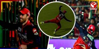 একের পর এক উড়ন্ত ক্যাচ! বিরাটদের জয়ের নেপথ্য-নায়ক KKR-এর এই প্রাক্তনী