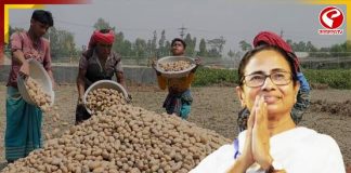 রাজ্যের আলু চাষিদের বিরাট প্রতিশ্রুতি মমতার! চন্দ্রকোণার প্রচারমঞ্চ থেকে কী বার্তা? দেখুন বড় খবর