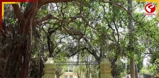 দোলে শান্তিনিকেতন যাচ্ছেন? বোলপুরে এলে ‘ফুলবাড়ি’ না দেখলেই মিস!