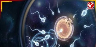 মহাকাশে সন্তান জন্ম সম্ভব? মাইক্রোগ্রাভিটিতে প্রজনন নিয়ে উদ্বেগ বাড়াচ্ছে নতুন গবেষণা