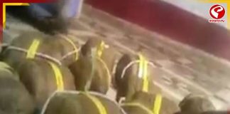 ভোটের আগে বীজপুরে উদ্ধার বোমা