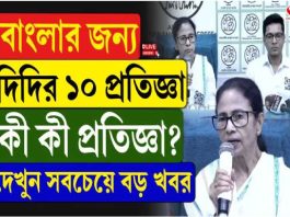 বাংলার জন্য দিদির ১০ প্রতিজ্ঞা! কী কী?