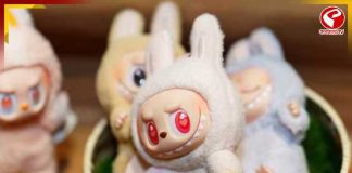 কেন অভিশপ্ত লাবুবু? ভয়ংকর এই পুতুলের আসল কাহিনি জানেন?