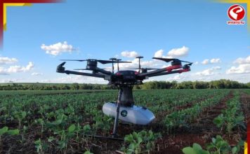 খামার থেকে জল নিরাপত্তা: ভারত–ইজরায়েল সহযোগিতা কীভাবে নাগরিকদের কাছে পৌঁছায়