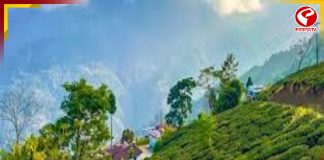 গরমের ছুটিতে আসুন দার্জিলিংয়ের এই ছোট্ট গ্রামে, পাখির ডাকে আপনার ঘুম ভাঙবে