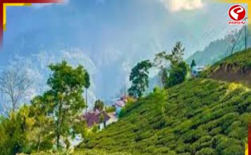 গরমের ছুটিতে আসুন দার্জিলিংয়ের এই ছোট্ট গ্রামে, পাখির ডাকে আপনার ঘুম ভাঙবে
