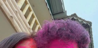 গোলাপি-হলুদ-সবুজ আবিরে মাখামাখি দেব-রুক্মিণী