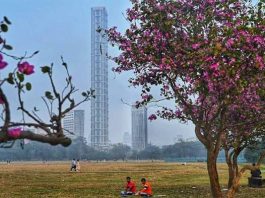 বসন্তের দেখা নেই, শীতের পর গ্রীষ্ম শুরু হয়ে যাচ্ছে, কোন অশনি সঙ্কেতের ইঙ্গিত