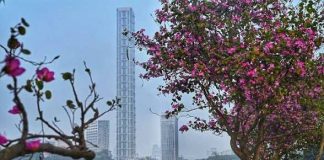 বসন্তের দেখা নেই, শীতের পর গ্রীষ্ম শুরু হয়ে যাচ্ছে, কোন অশনি সঙ্কেতের ইঙ্গিত