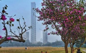 বসন্তের দেখা নেই, শীতের পর গ্রীষ্ম শুরু হয়ে যাচ্ছে, কোন অশনি সঙ্কেতের ইঙ্গিত