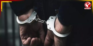 লালগোলায় অবৈধভাবে বাংলাদেশে গরু পাচারের চেষ্টা! গ্রেফতার ১