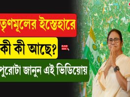 তৃণমূলের ইস্তেহারে কী কী আছে?