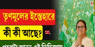 তৃণমূলের ইস্তেহারে কী কী আছে?