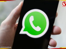 পড়ার পরেই ডিলিট হবে মেসেজ! নয়া ফিচার আনছে Whatsapp
