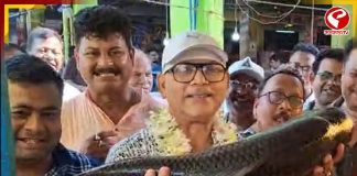 “আমরা বাঙালি, আমরা মাছ খাবো,” প্রচারের মাঝে বিজেপিকে তুলোধনা তৃণমূল প্রার্থীর