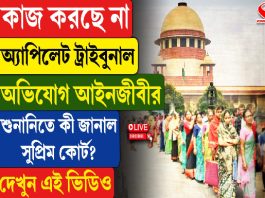 কাজ করছে না অ্যাপিলেট ট্রাইবুনাল, অভিযোগ আইনজীবীর, শুনানিতে কী জানাল সুপ্রিম কোর্ট?