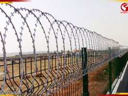 ভারত-বাংলাদেশ সীমান্তে কাঁটাতারের বেড়া মামলা, রাজ্যের রিপোর্টে চরম ক্ষুব্ধ কলকাতা হাইকোর্ট