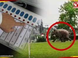 ‘āĻā§āĻ āĻ āĻŋāĻāĻ āĻžāĻ āĻšāĻā§āĻā§ āϤā§!’ āĻŦā§āĻĨā§ āĻāϏ⧠āϤāĻĻāĻžāϰāĻāĻŋ āĻĻāĻžāĻāϤāĻžāϞ āĻšāĻžāϤāĻŋāϰ, āĻĻā§āĻā§āύ āĻāĻŦāĻŋ