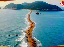 দু’ভাগে ভাগ হয়ে যায় সমুদ্র, খুলে যায় রহস্যময় রাস্তা! কোথায় রয়েছে এই ‘অলৌকিক’ জায়গা? জেনে নিন